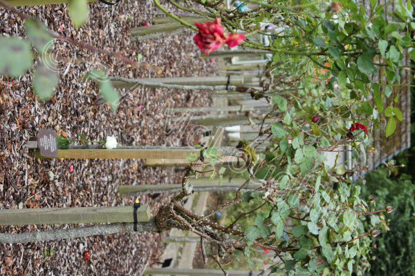 North Devon Crematorium